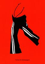 Schwangerschaftsgymnastik plus