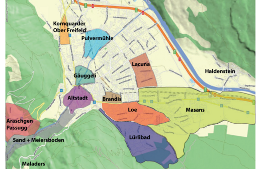 Quartiervereine Chur